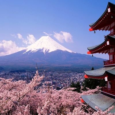 15 Shocking Facts About Japan - The Wise Traveller - Fuji - Cherry Blossom