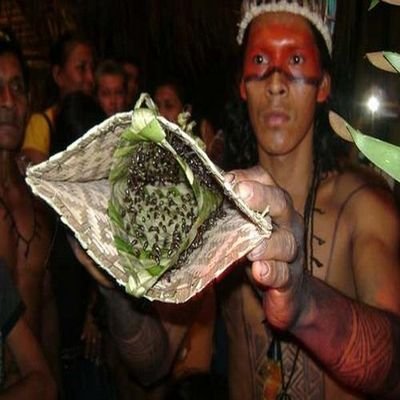 7 Bizarre Local Customs - 7 Local Customs From Around The World That Seem Bizarre - The Wise Traveller - Bullet Ant Ritual