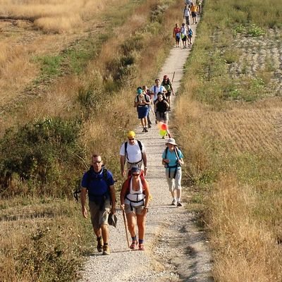 A Great Pilgrimage Walk - El Camino de Santiago - Spain - The Wise Traveller