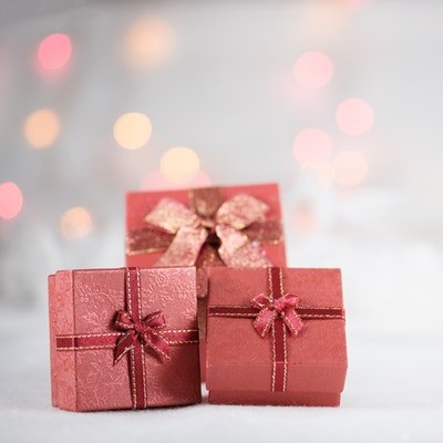 Christmas Gifts for Travellers - The Wise Traveller - Christmas Gifts