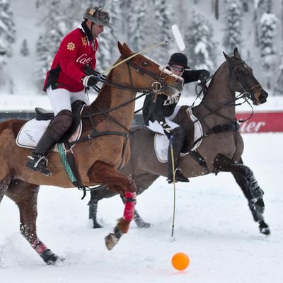 From Snow Polo and Skiing to Toboggan Runs - Winter Sports in St. Moritz - Switzerland - The Wise Traveller