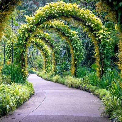 Go for the Green - Gardens That Are Open Around the World - The Wise Traveller - Singapore Botanic Gardens Golden Arches