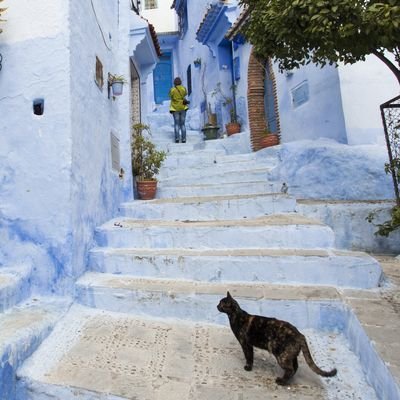 Morocco For The Solo Female - 5 Travel Tips For The Single Woman In Morocco - The Wise Traveller - Chefchaouen