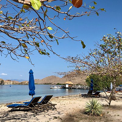  Talk to the Fish - Komodo Island Resort - Komodo Marine National Park, Indonesia - The Wise Traveller