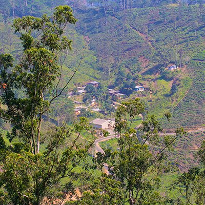 A Clenched Fist - The Knuckles Mountain Range - Sri Lanka - The Wise Traveller