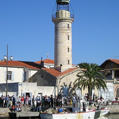 Black Bulls, Van Gogh, and Salt Camargue, France - Part 1 - The Wise Traveller