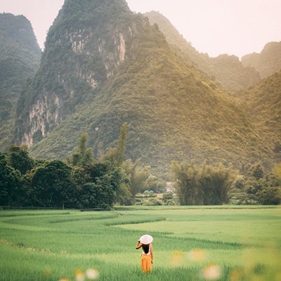 Dive Into Da Lat, Vietnam - The Wise Traveller
