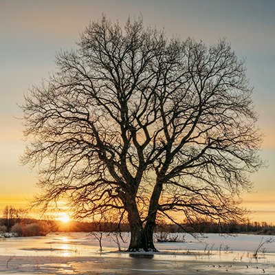 Seeking Serenity? Here’s 25 Destinations To Find Peace - The Wise Traveller