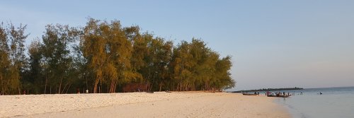 Sun Worshipping on a Zanzibar Beach - The Wise Traveller - zanzibar