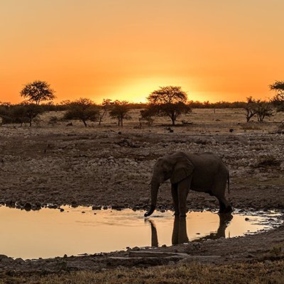 The Sparkling Rare Earth of Namibia - The Wise Traveller
