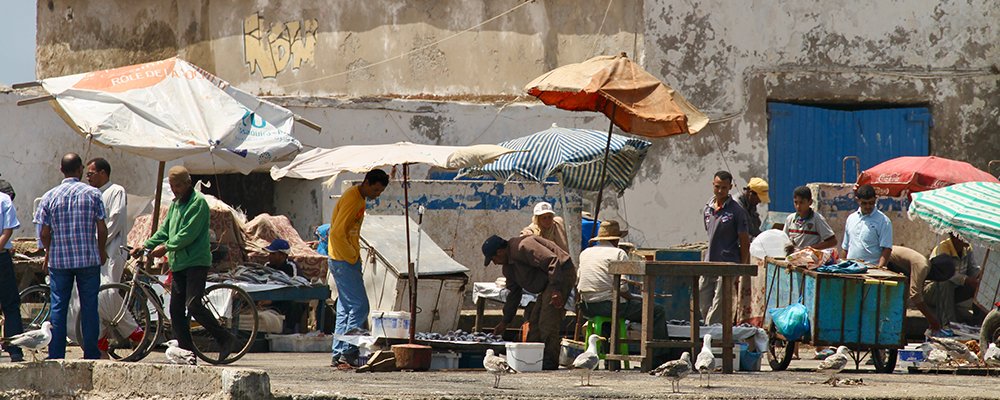 ‘Alizee’ Whispers - Essaouira Morocco - The Wise Traveller - Market