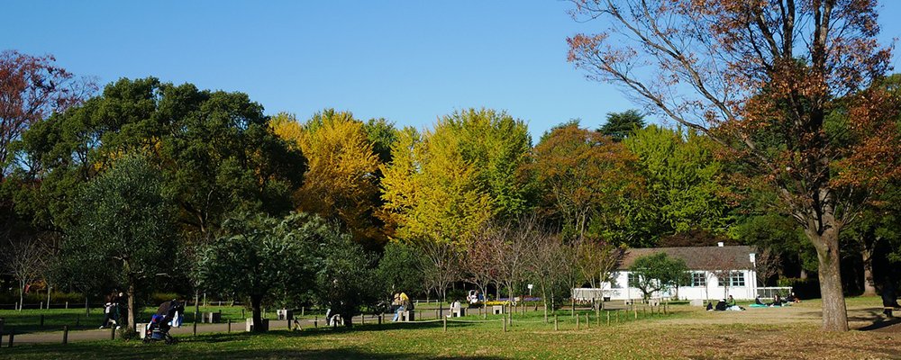 A Tour Of Tokyo's Public Toilets - The Wise Traveller - Yoyogi Fukamachi Mini Park