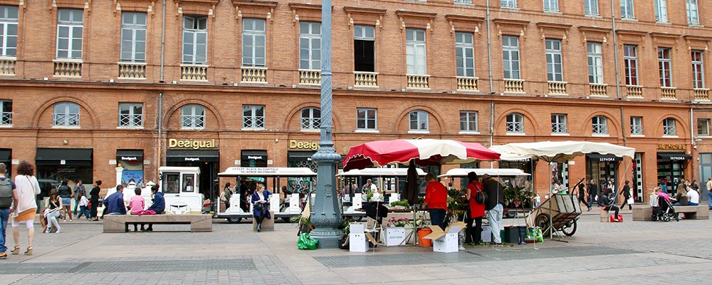 A Town for Gluttonous Behavior  Toulouse, France - The Wise Traveller - IMG4142