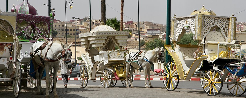 Messing around in Meknes - Morocco - The Wise Traveller - IMG3961