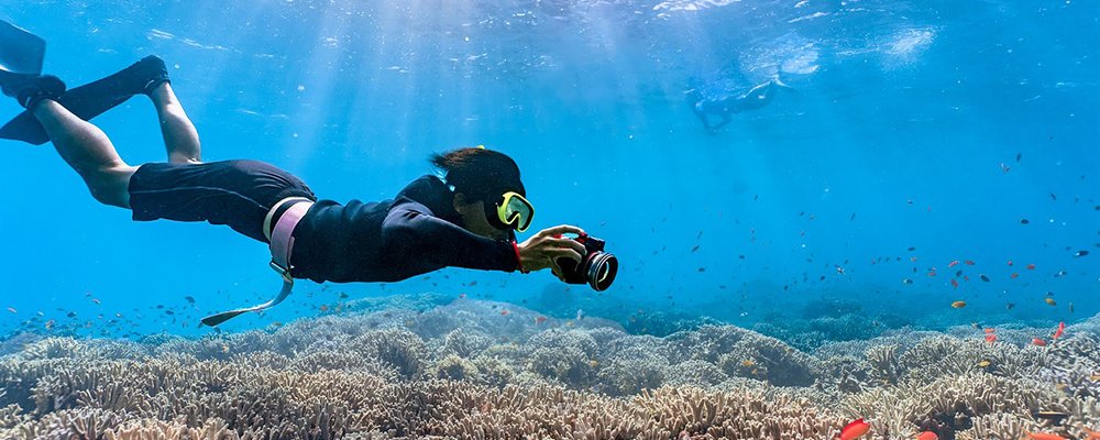 Snorkeling with Sea Turtles - The Wise Traveller - Snorkel