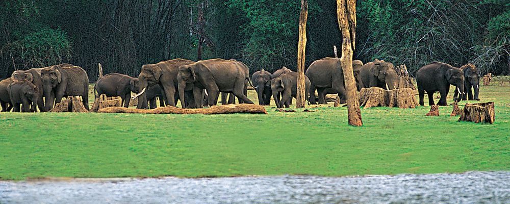 The Top 5 Places to Visit in Kerala for Senior Travellers - The Wise Traveller - Periyar_Thekkady