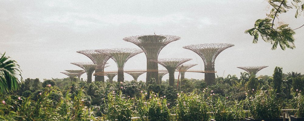 What Makes Singapore the Best City - The Wise Traveller - Gardens by the bay