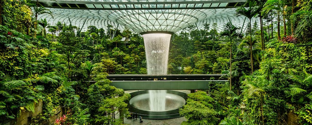 Where Art Meets The Airport - The Wise Traveller - Changi